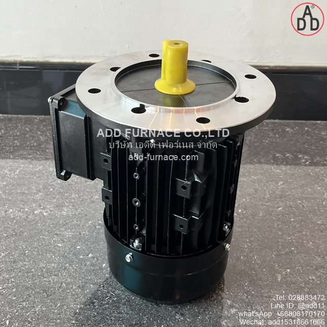 TYPE YE3-80M2-2 B5 (11)